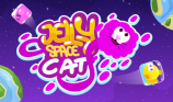 Jelly Space Cat