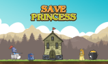 Save Princess