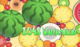 2048 Watermelon